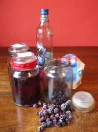 bushcraft booze (8) Blackberry Vodka.JPG