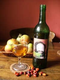 bushcraft booze (13) Rosehip wine.JPG