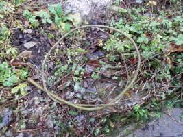 Bushcraft Wreath (2) first whip twisted into a hoop.JPG