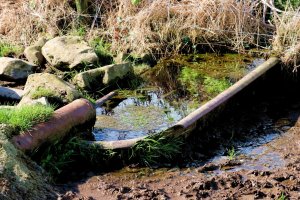 Bath in Field - IMG_4536.jpg