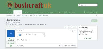 Screenshot 2024-12-20 at 17-01-13 Site maintenance Page 5 BushcraftUK Community.png