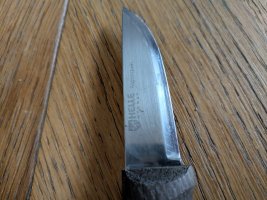 Helle Algonquin 02.jpg