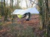 1st weekend in February in the woods 005.jpg