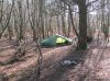 1st weekend in February in the woods 016.jpg