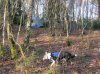 1st weekend in February in the woods 044.jpg