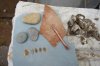 arrowheads and tools1.jpg