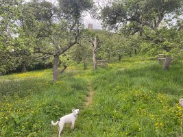 IMG_7846.jpeg