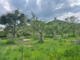 IMG_7847.jpeg