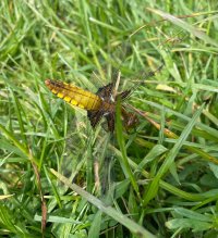 IMG_7838.jpeg
