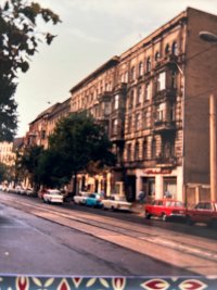 IMG_1781.jpeg