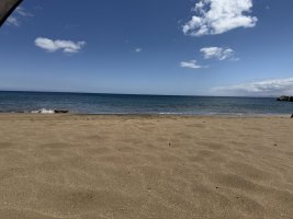 IMG_8726.jpeg