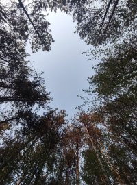 IMG_20250420_191659.jpg