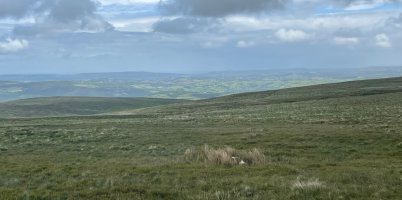 IMG_9774.jpeg