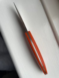 IMG_7990.jpeg