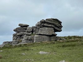 IMG_9789.jpeg