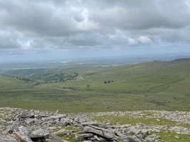 IMG_9796.jpeg