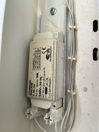 IMG_0037.jpeg