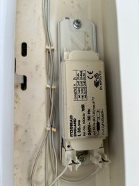 IMG_0036.jpeg