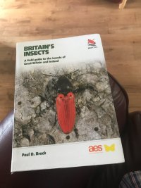 2025-08-08 13.11.37.jpg