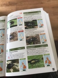 2025-08-08 13.11.52.jpg