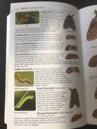 2025-08-10 10.29.54.jpg