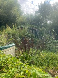 IMG_3811.jpeg