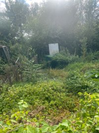 IMG_3812.jpeg