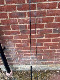 IMG_9697.jpeg