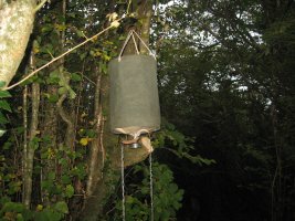 IMG_1725.JPG