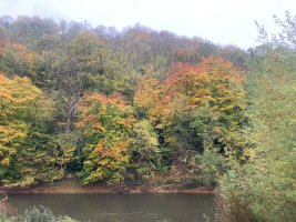 IMG_8598.jpeg