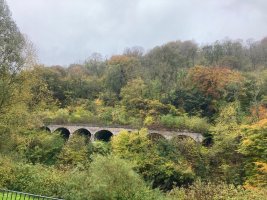 IMG_8597.jpeg