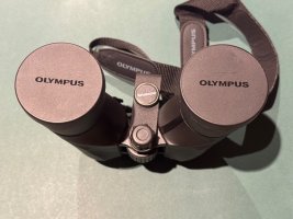 Olympus Binoculars_7197.JPG