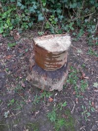 0001 wood to split.JPG