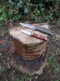 0002 using the small knife Mora for scale.JPG