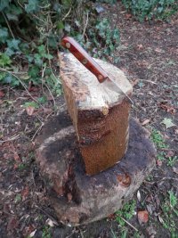 0005 use the small knife to make a small split.JPG