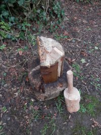 0006 smack the wedge into the small split with the maul.JPG