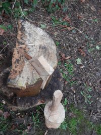 0007 the wedge does the work.JPG