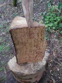 0008 use the same method to reduce the wood further.JPG