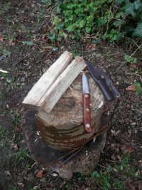 011 the small knife is undamaged and the wood reduced to kindling.JPG