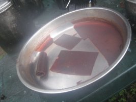 Fruit leather 2. Hawthorn.JPG