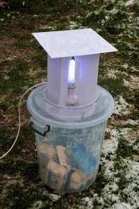 moth trap - 052A0196.jpg