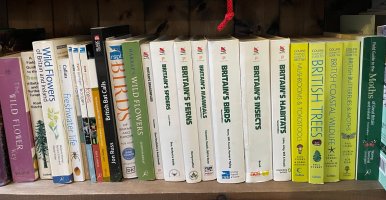 Wildlife Books.jpg