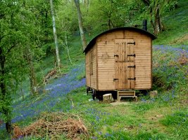 Shepherds Hut 3 - TG562646.jpg