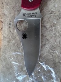 IMG_1436.jpeg