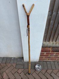 IMG_9848.jpeg