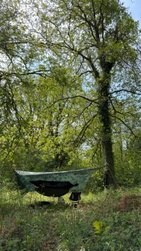 Hammock Night-7.jpg