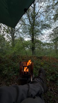Hammock Night-8.jpg