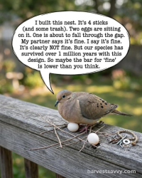 1778015072185.png
