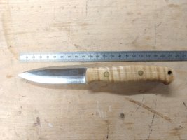 DSC_1883.JPG
