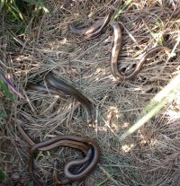 IMG_20260521_183524769~2.jpg
